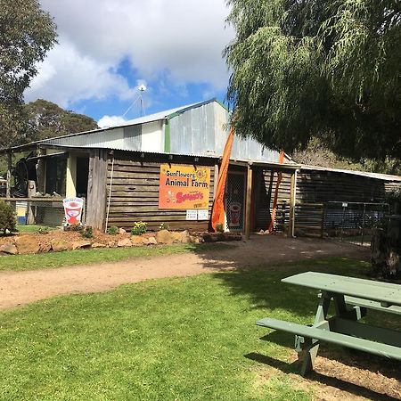 Sunflowers Animal Farm & Farmstay Margaret River Exterior foto