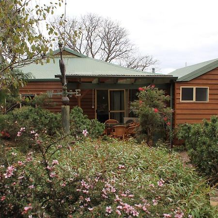 Sunflowers Animal Farm & Farmstay Margaret River Exterior foto