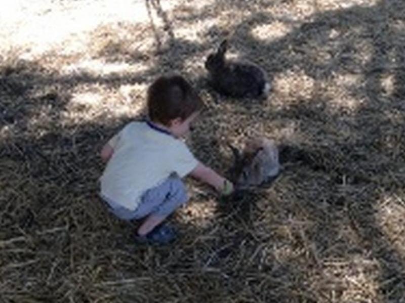 Sunflowers Animal Farm & Farmstay Margaret River Exterior foto