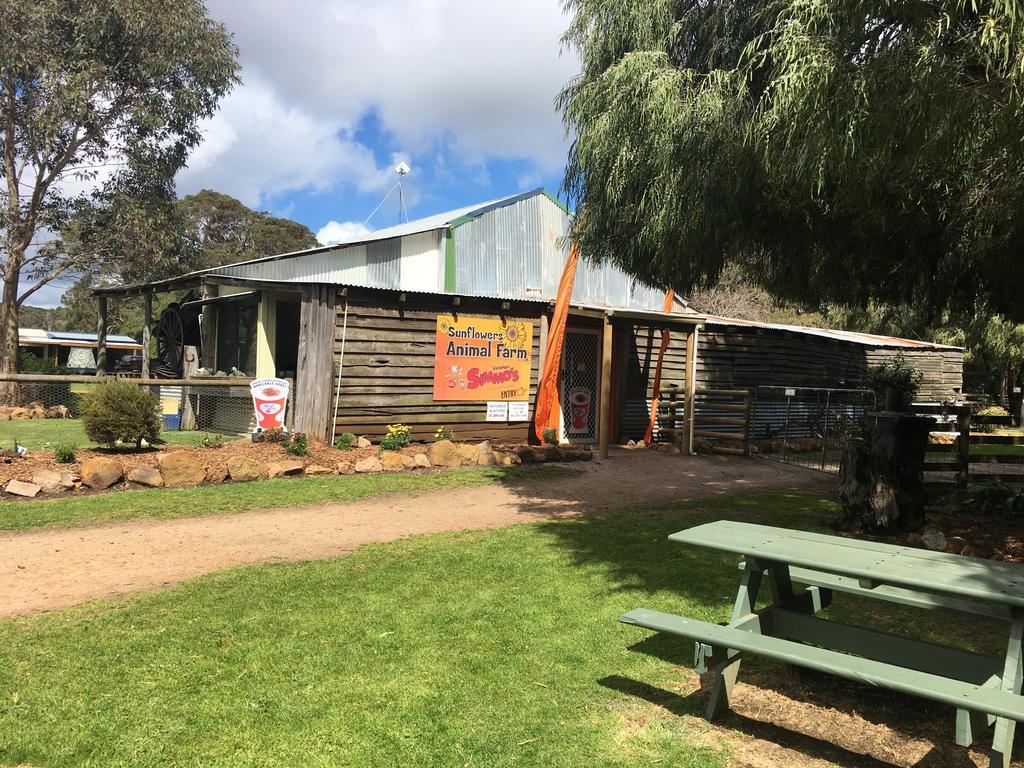 Sunflowers Animal Farm & Farmstay Margaret River Exterior foto